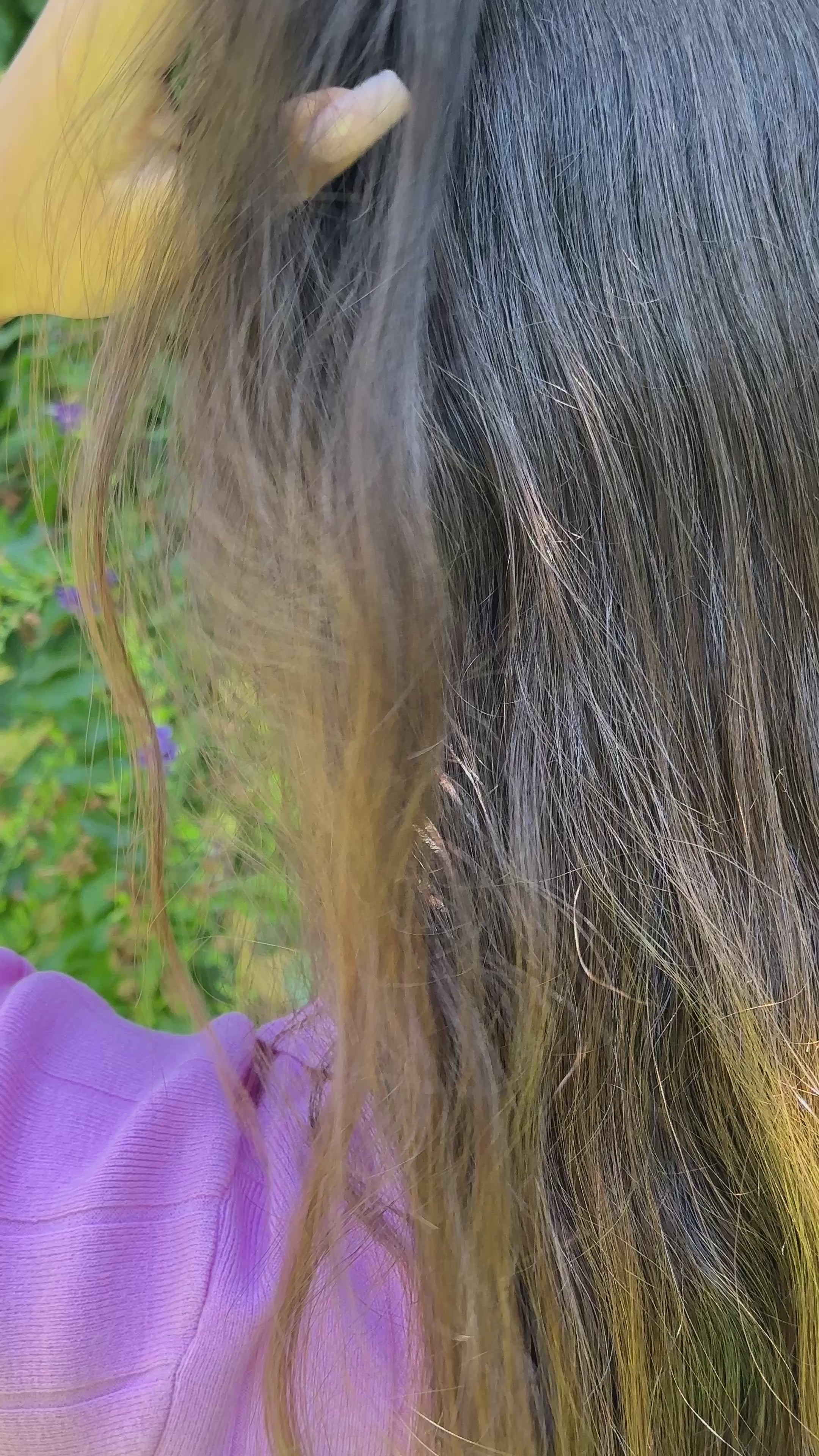 אישה עונדת טבעת אלכסנדריט ויהלומים עם רקע טבעי של צמחים